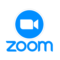 Psicólogo videollamada Zoom Tampa